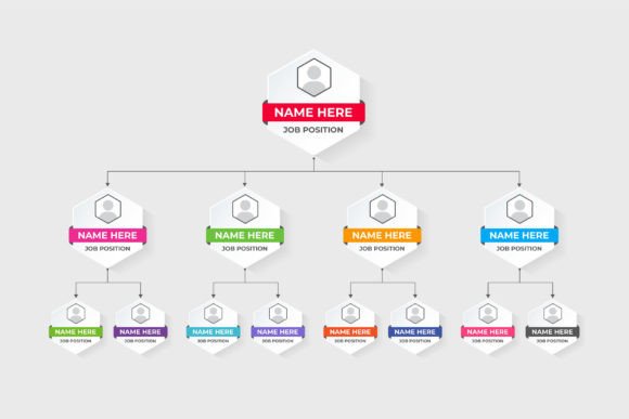 Understanding Your Team: A Guide to Position Classification Infographics