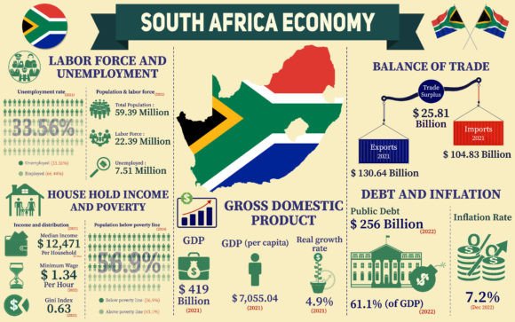 Visual Insights into South Africa's Economic Landscape